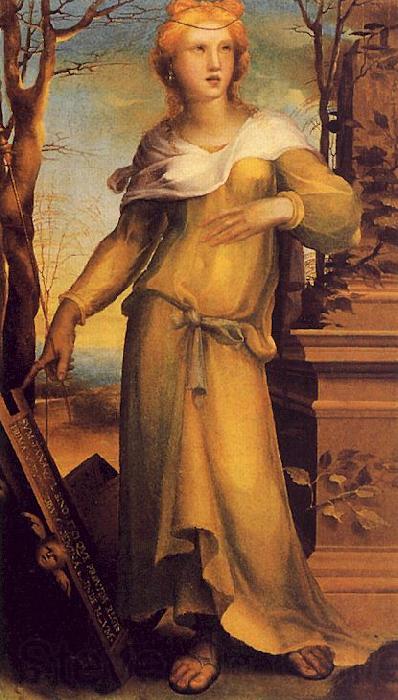 Domenico Beccafumi Tanaquil, Wife of Lucomo France oil painting art